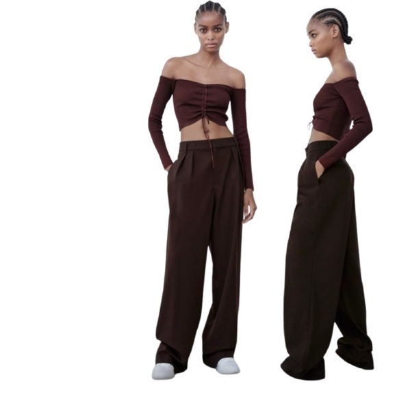Zara Pants & Jumpsuits Zara Full Length Darted Pants In Dark Brown
